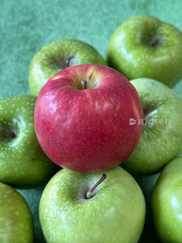 单个的红苹果在一群绿色的史密斯苹果(Malus domestica)上的图像，有茎，光滑的，有斑点的果皮，斑驳的绿色背景，高架视图